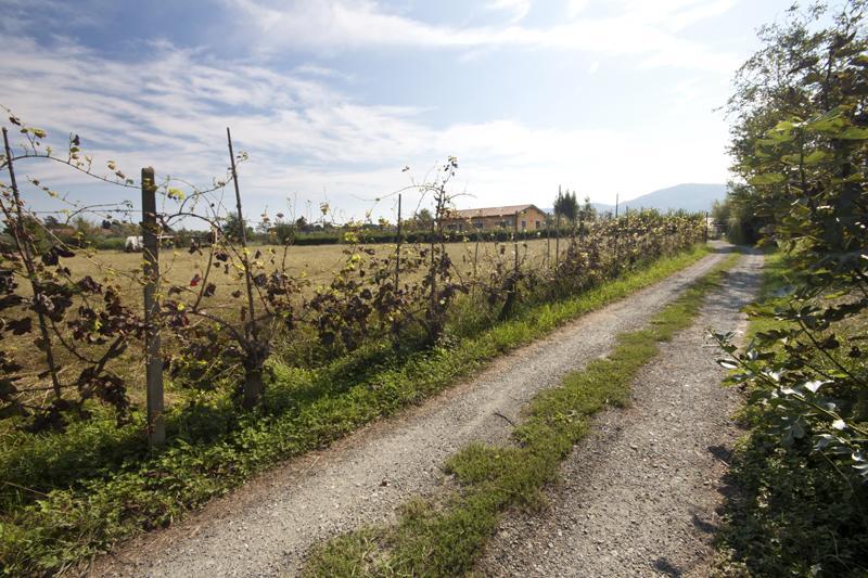 Villa L'OrtoBio Sarzana Esterno foto